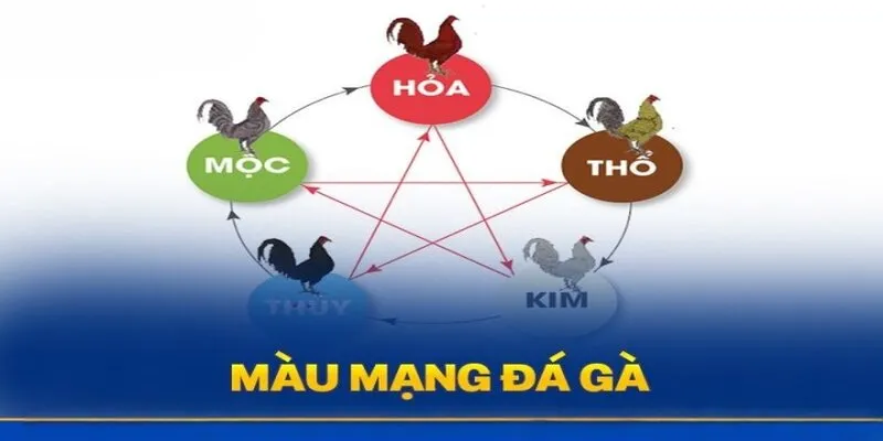 Màu Mạng Đá Gà Là Gì Và Các Cách Xem Hiệu Quả Năm 2025